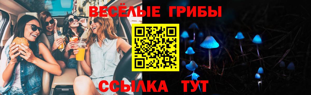 Отрадное  что такое   Галлюциногенные грибы Psilocybe  Вход с VPN  Псилоцибиновые грибы мухоморы 